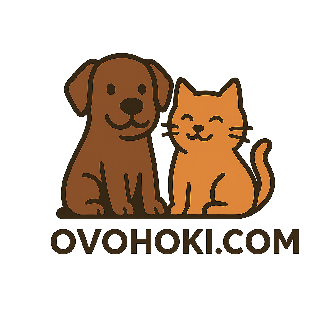 ovohoki store